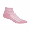 Chaussettes Icebreaker Femmes Run+ Light Mini - Rose