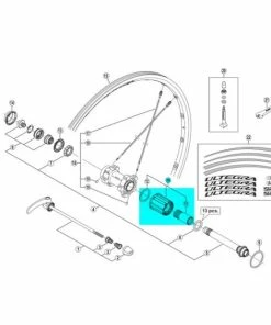 Corps De Roue Libre Shimano - Y49398060