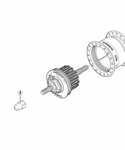 Ecrou Borgne Moyeu Axe Plein Shimano (x 1)