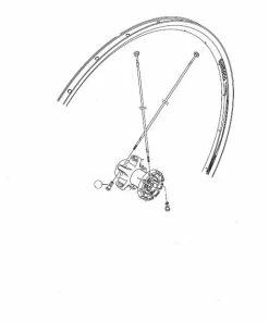 Ecrou Shimano WH-R550 Arrière (x1)