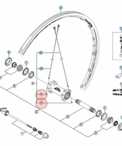 Ecrou De Rayon Shimano Y4CK89000 - (X1)