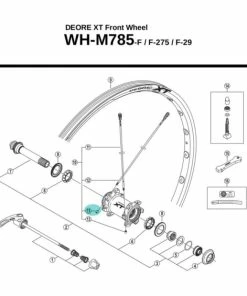 Ecrou Shimano Y4G308100 - [X1]