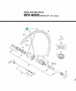 Ecrou De Rayon Shimano Y4SYN1000 - [X1]
