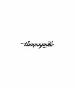 Campagnolo® Jante Campagnolo Shamal Ultra WH-003SHT Titanium - [16 T]