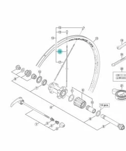 Rayon Arrière Shimano Y012AD027 - (x1)