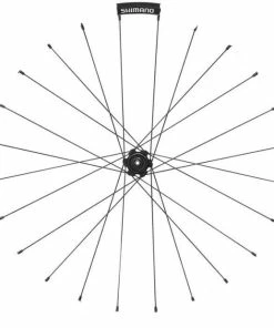 Rayon Arrière Shimano Y012AE94C - [x1]