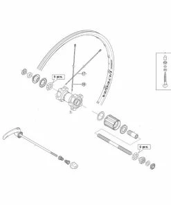 Rayon Shimano Ultegra WH6700 - Arrière (x1)