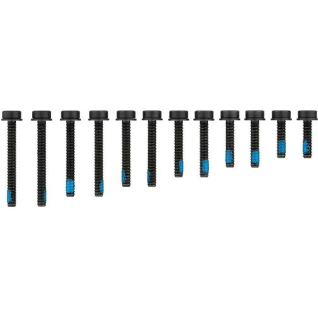 Vis Magura M5 Pour Montage Flatmount D'Etrier De Frein Arrière - X12 1 Vis Magura M5 Pour Montage Flatmount D'Etrier De Frein Arrière - X12